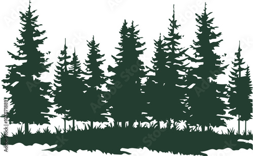 Green forest background with coniferous, silhouette vector illustration		