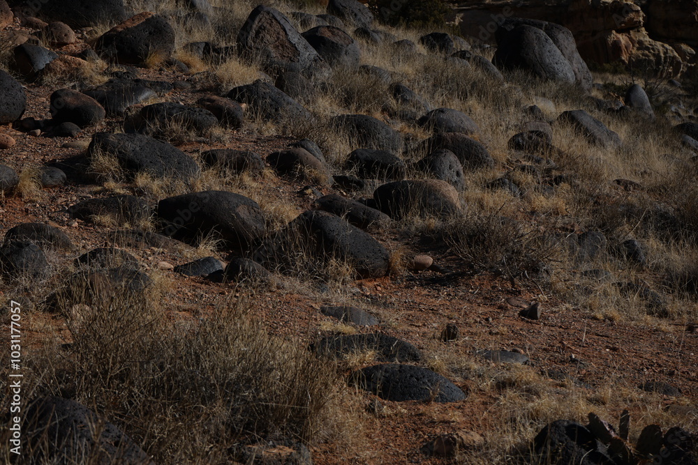 Obraz premium rocks on ground