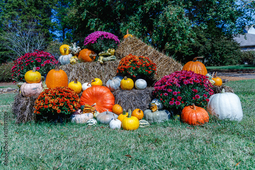 Fall display of pumpkins, hay bales, anbd flowers