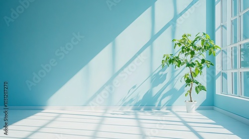 Bright and Minimalist Indoor Space with Plant