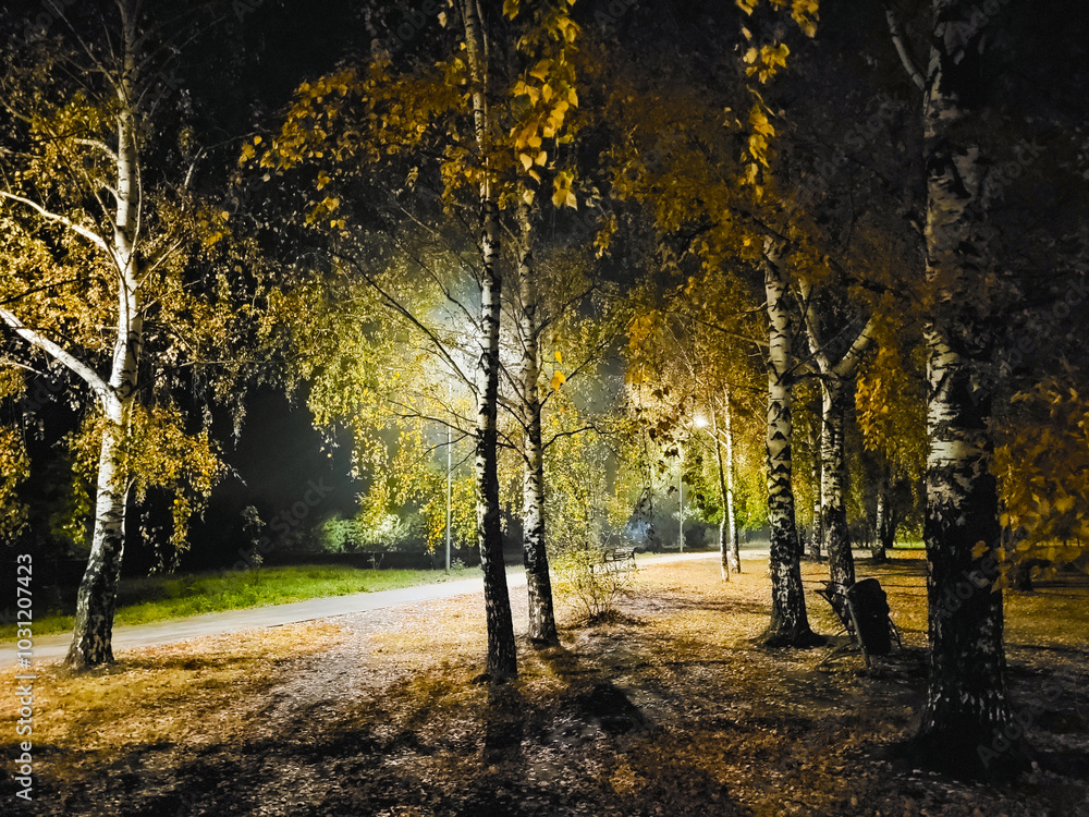 Fototapeta premium autumn in the park