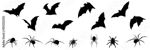 bat and spider silhouette illustration for halloween