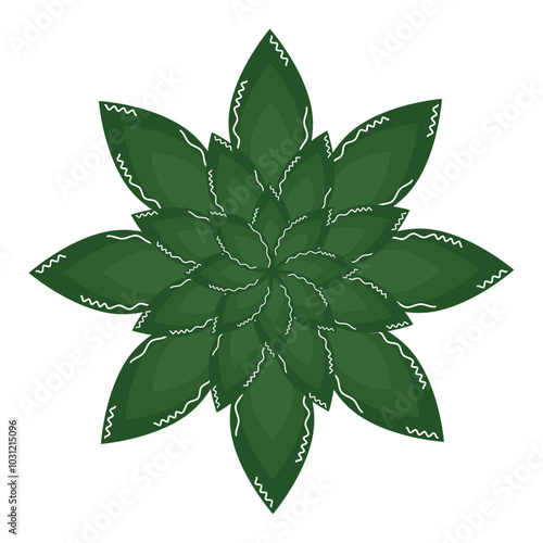 Green leaf star pattern resembling a succulent, Vector