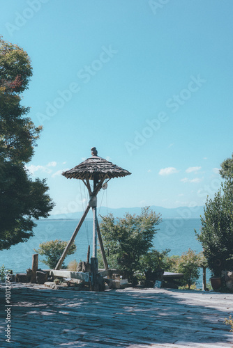 美しい南国風の風景