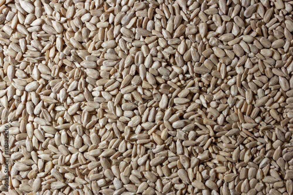 Peeled Sunflower Seeds Background: A Culinary Canvas of Shell-free Sunflower Seeds, Creating a Lively and Textured Background for Gourmet Cooking - Top View, Flat Lay Peeled Sunflower Seeds Background: A Culinary Canvas of Shell-free Sunflower Seeds, Creating a Lively and Textured Background for Gourmet Cooking - Top View, Flat Lay
