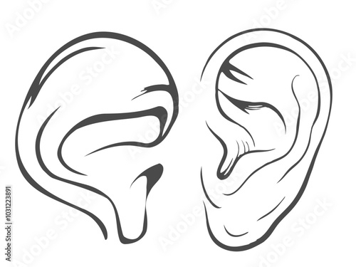 drawing illustration of a continuous line showing the human ear.