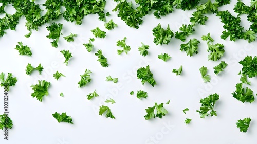 Wallpaper Mural chopped parsley leaves isolated on white background with copy space above. Torontodigital.ca