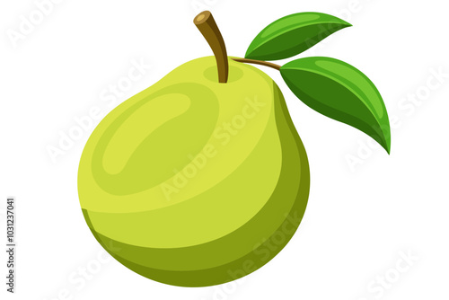 Beautiful pear fruit vector art illustration with white background 