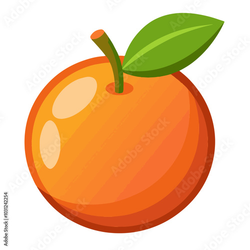 Orang fruit. Oranges that are segmented on a white background.