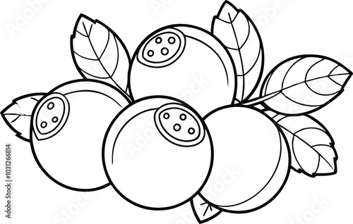 Blueberries in continuous line art drawing style, illustration on white background.