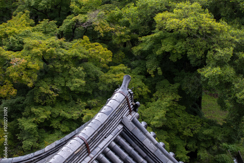 屋根瓦