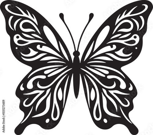 black and white butterfly