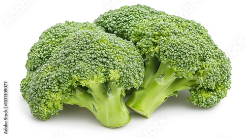 Fresh broccoli on white background. 