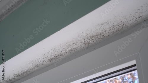 Black Mould on walls. Fungal Mold. It is often caused by excess condensation, usually as a result of a lack of ventilation in the home