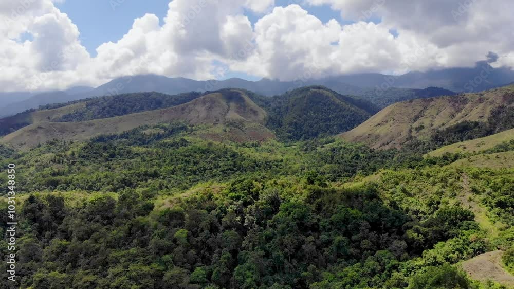 Aerial video of lush tropical forest with clear sky, Aceh Besar, Sumatra