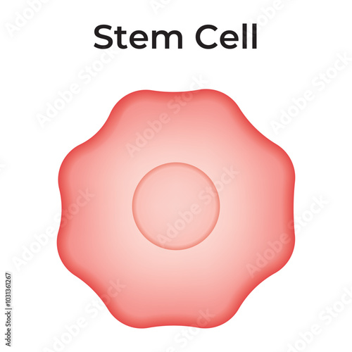 Stem Cell Science Design Vector Diagram Graphic