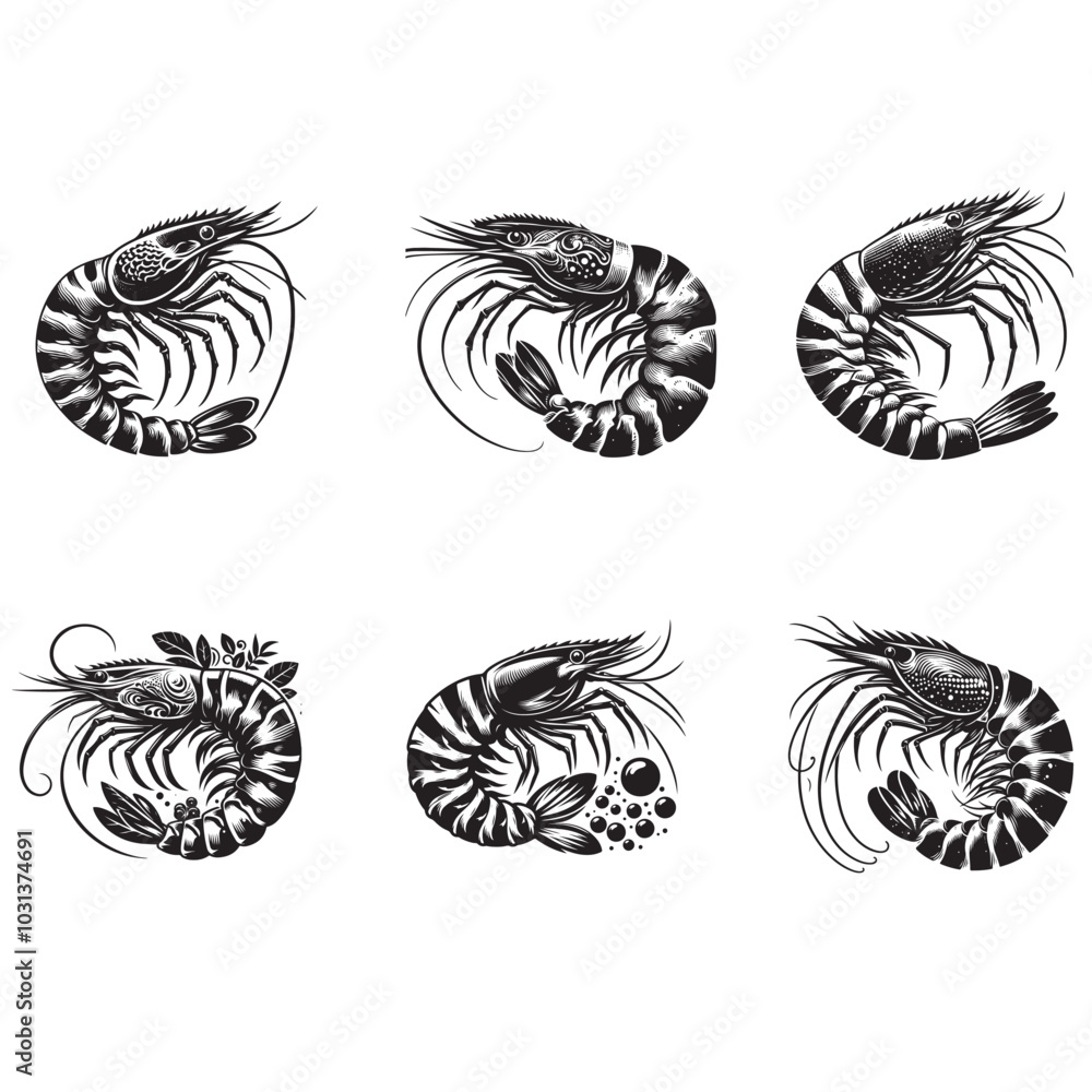 Shrimp vector Shrimp vector