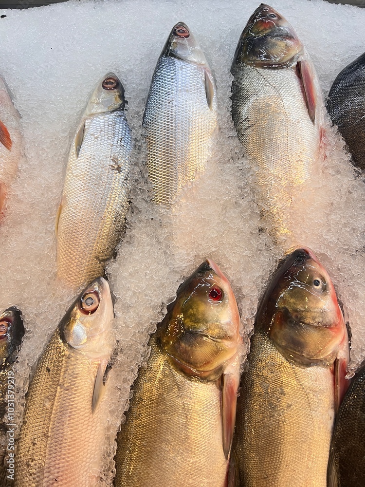 Display of fresh fish for sale at local market