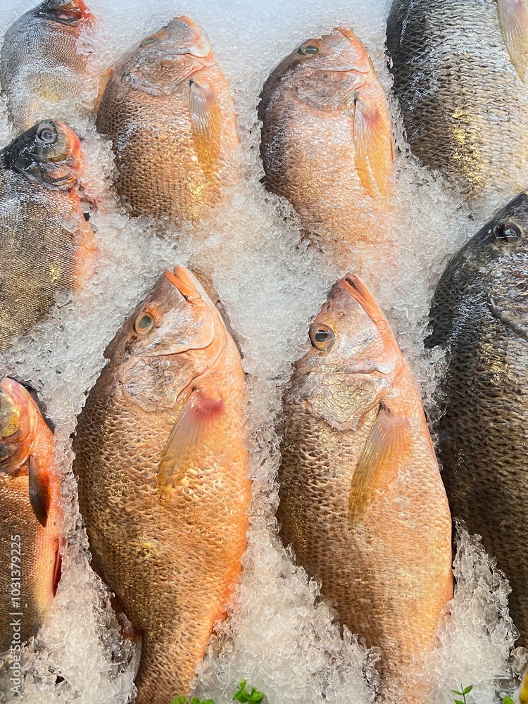 Display of fresh fish for sale at local market