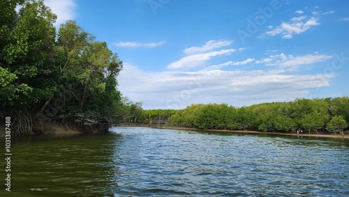 Buffalo Creek in Darwin, Northern Territory Australia