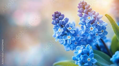 Close-up of beautiful blue flowers with a serene blurry background, highlighting the delicate nature of spring blooms photo