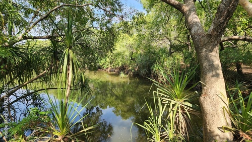Принти на полотні Mary River in Kakadu, Northern Territory Australia