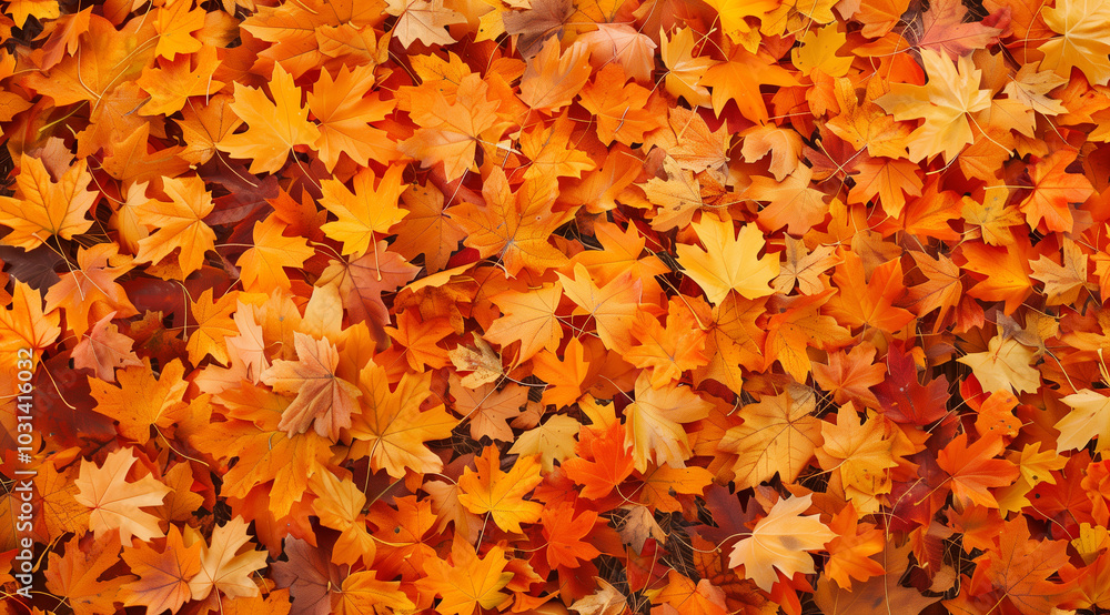 Autumn background with golden autumn leaves on the ground in a park at sunset Autumn background with golden autumn leaves on the ground in a park at sunset
