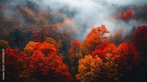 Breathtaking Fall Landscape Captured in Digital Photography, Showcasing Rich Colors and Light Mist for an Epic Autumn Experience.