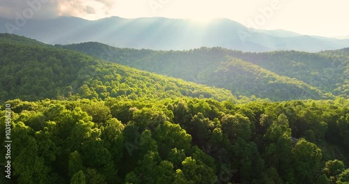 Evening landscape in Appalachian mountains. Woods nature in summer season. Colorful forest in Tennessee