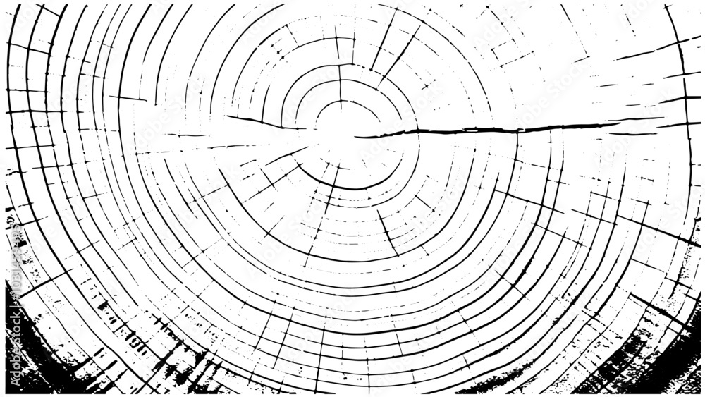 Obraz premium Cross section of tree clipart design illustration, Round wooden dust grunge design elements. Grunge texture effect. 