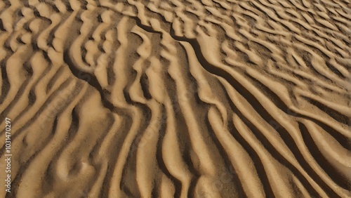abstract illustration vector textured background showcasing an expansive view of sand dunes, capturing the intricate patterns and textures of the sand