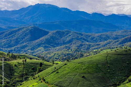 Wallpaper from the top of the mountain, overlooking the panorama, with the wind blowing all the time, fresh air, is a viewpoint that adventurers regularly visit.