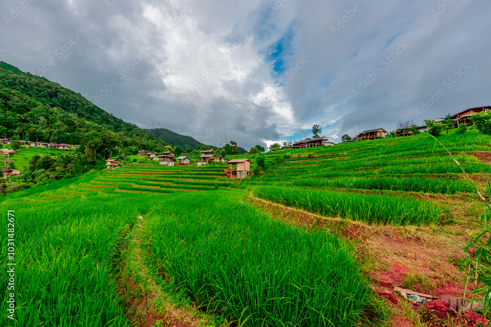 Fototapeta premium Wallpaper from the top of the mountain, overlooking the panorama, with the wind blowing all the time, fresh air, is a viewpoint that adventurers regularly visit.