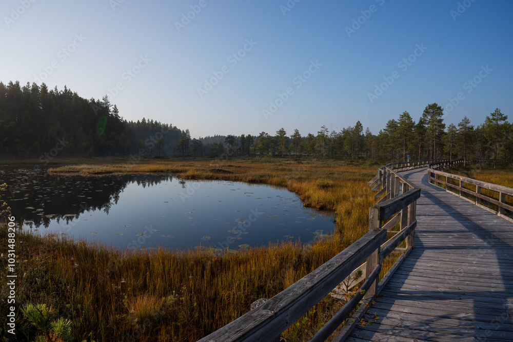 Soljastensuo swamp with a boardwalk trail in Seitseminen National Park in Finland. Soljastensuo swamp with a boardwalk trail in Seitseminen National Park in Finland.