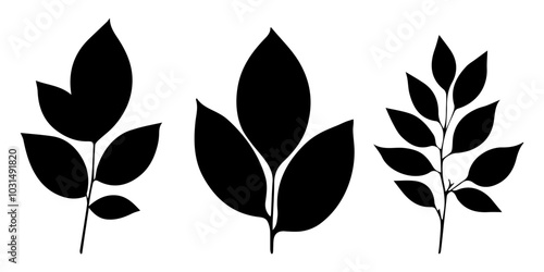 silhouettes of leaves, Set of leaves silhouette of beautiful plants, leaves, plant design. Vector illustration, Black silhouettes of tropical palm leaves isolated on white background. Exotic plants	
