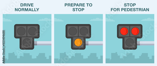 Safe driving tips and traffic regulation rules. Hawk crosswalk signal and their meaning infographic. Car driver instruction. Flat vector illustration template.