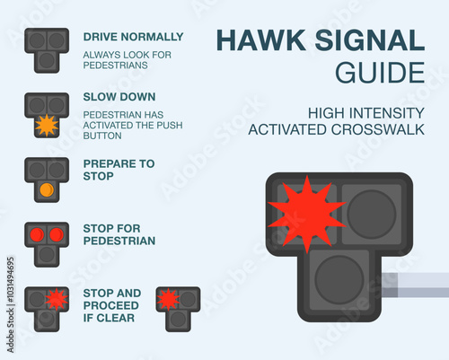 Safe driving tips and traffic regulation rules. High intensity activated crosswalk (hawk) signal guide. Flat vector illustration template.