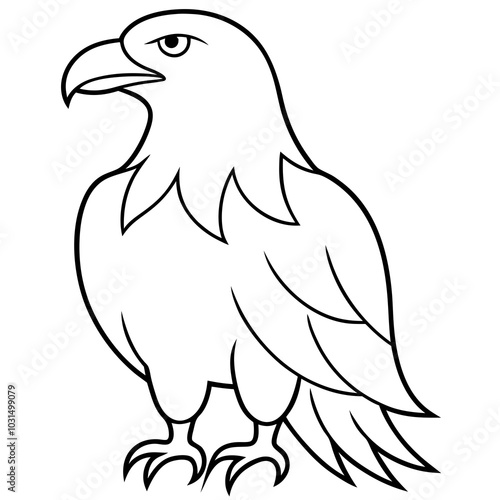  Eagle line art vector illustration