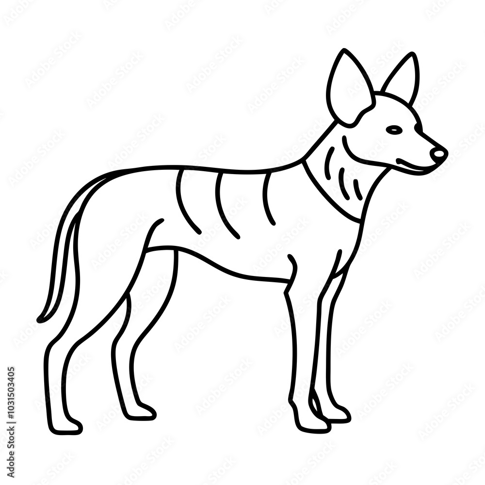 Obraz premium African wild dog line art vector illustration