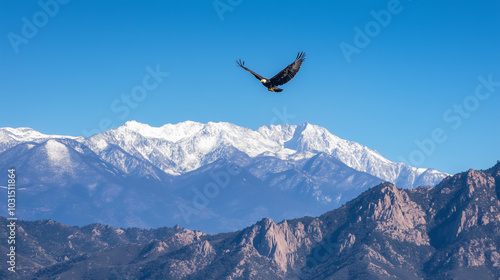 A lone eagle flying majestically over a range of snow-capped mountains. v2