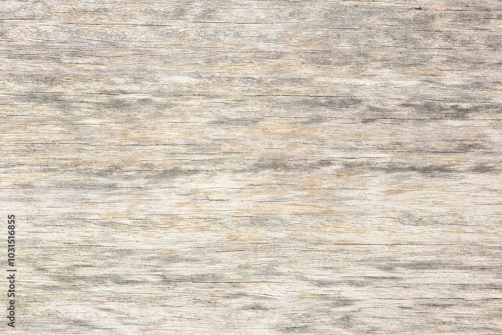 old wooden plank, texture background old wooden plank, texture background