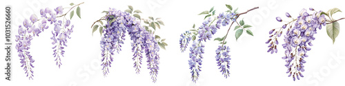 Cascading wisteria vines with delicate purple flowers blooming in full spring expression  The lush hanging floral clusters create a romantic ethereal and serene natural backdrop perfect for wedding