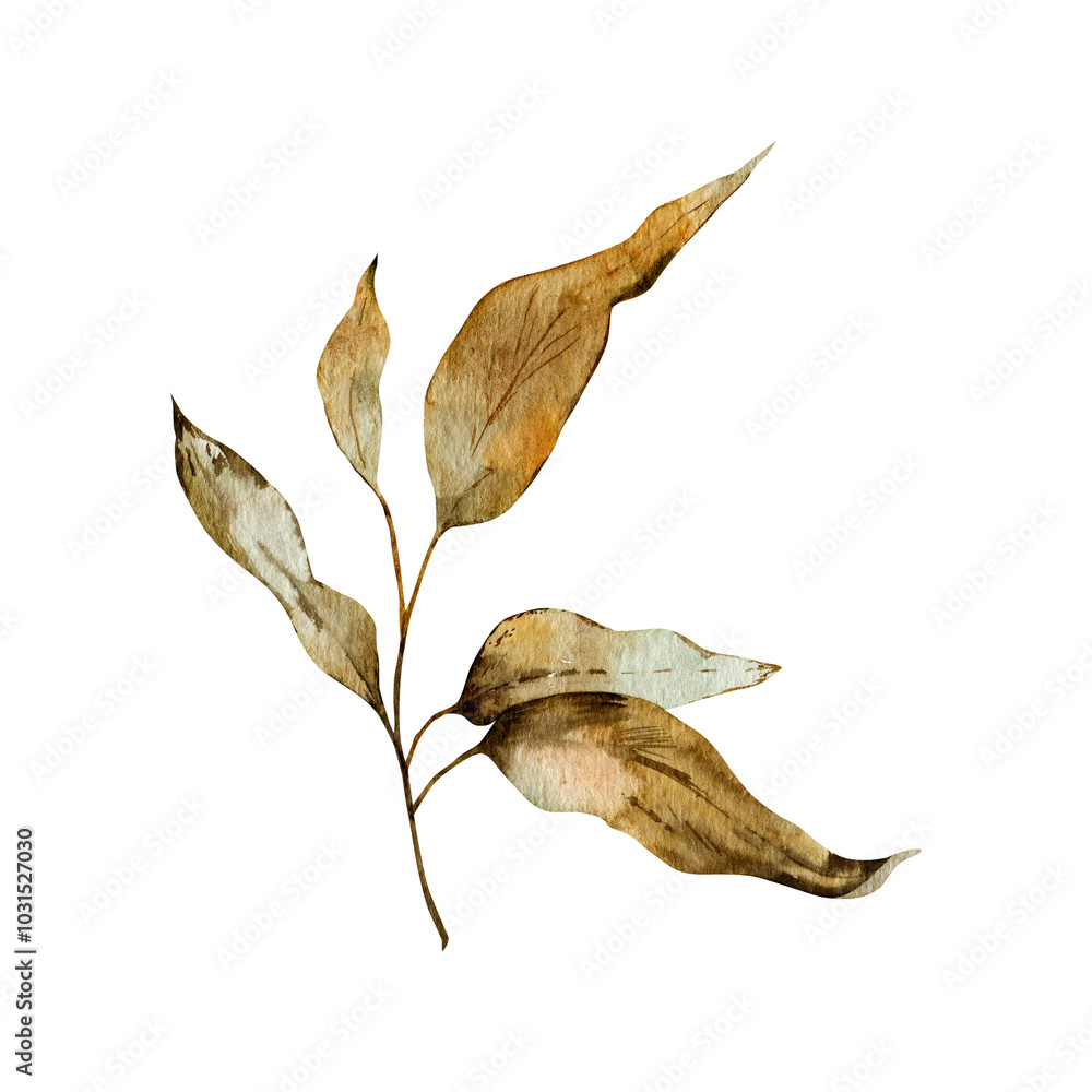 Fototapeta premium Foliage autumn watercolor branch isolated on white background for decoration, invitation or greeting cards, floral design.