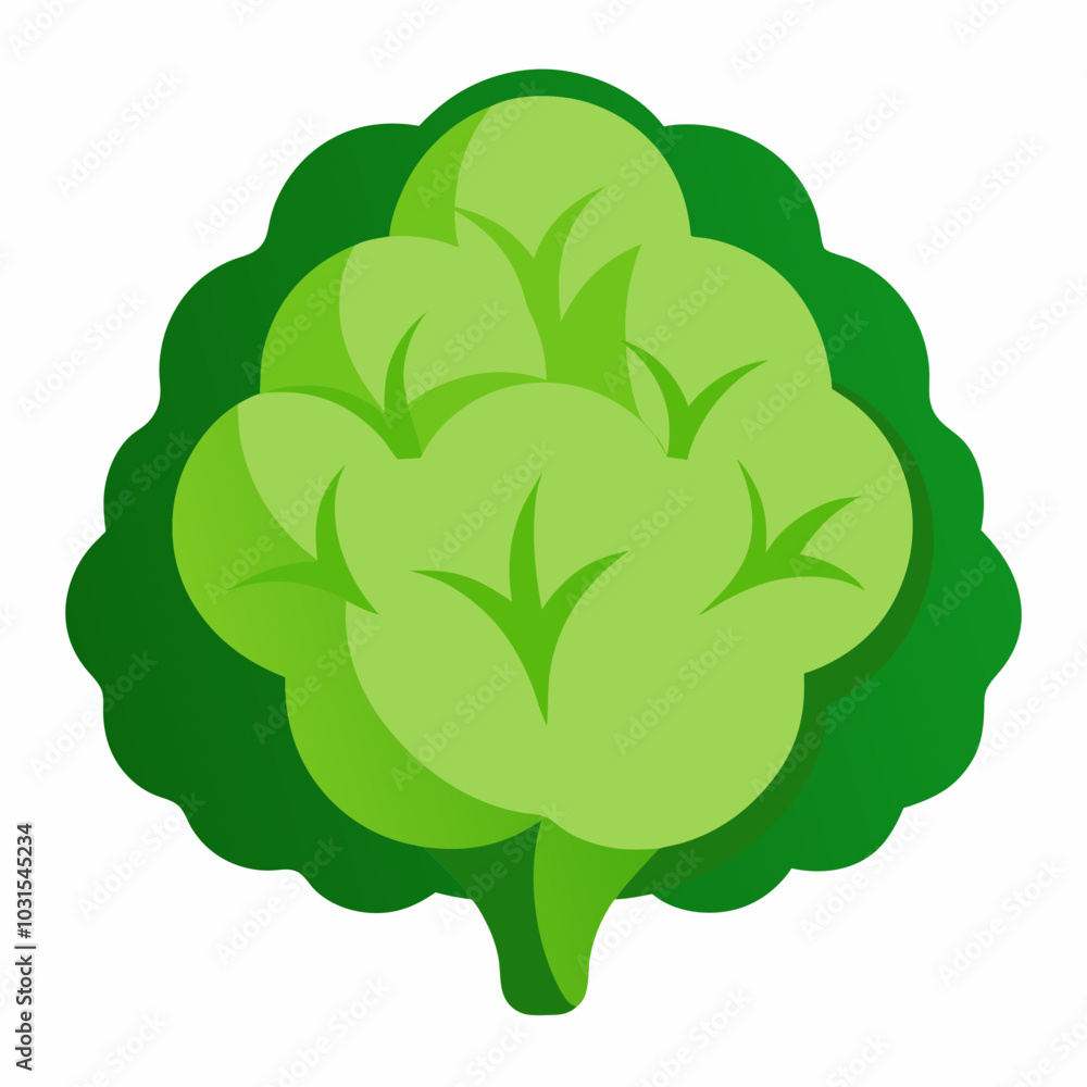 Cauliflower vector art illustration Cauliflower vector art illustration