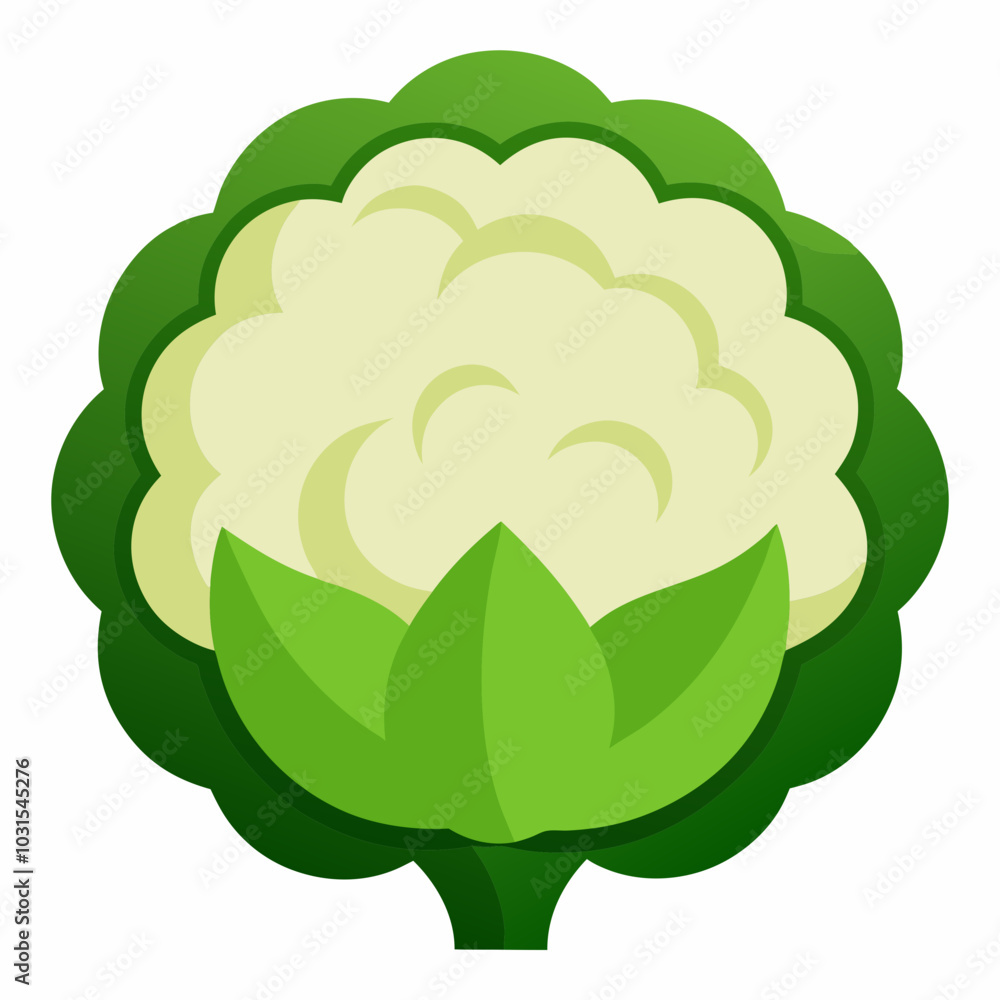 Cauliflower vector art illustration Cauliflower vector art illustration