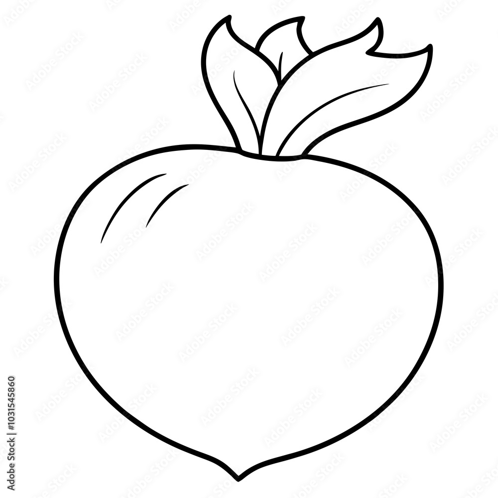 Kohlrabi line art vector illustration Kohlrabi line art vector illustration