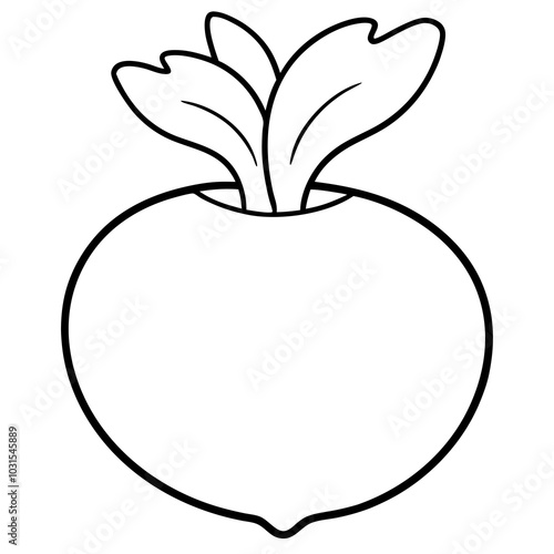  Kohlrabi line art vector illustration 