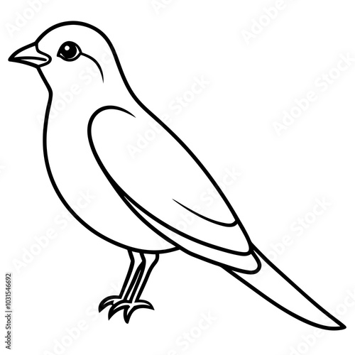 Purple martin line art vector illustration
