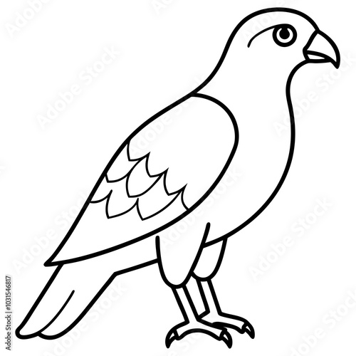 Red shouldered hawk line art vector illustration