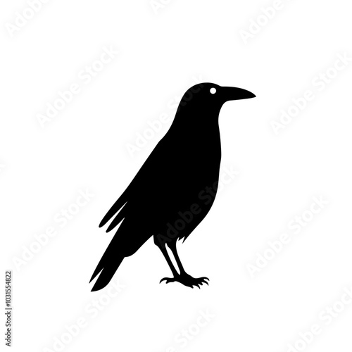 Crow photo